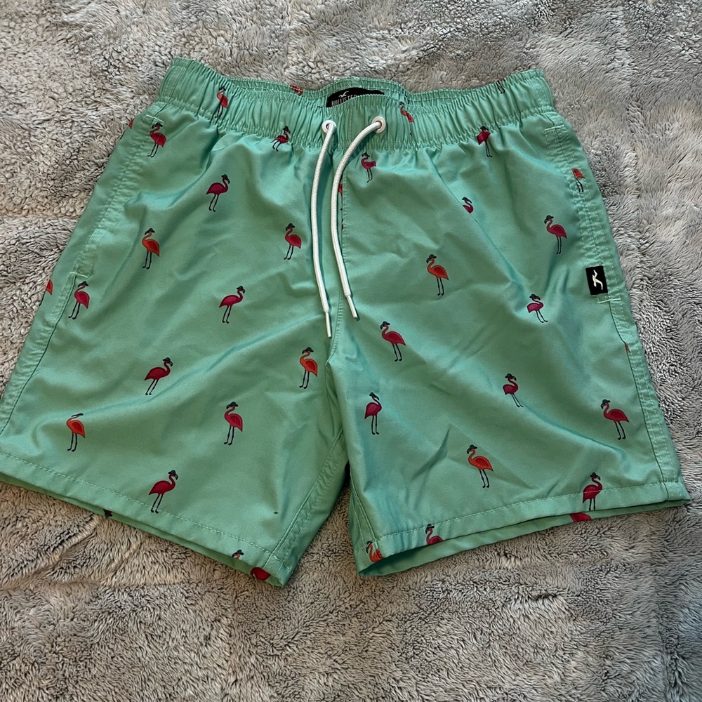 Men's Hollister Green Flamingo Swim Shorts